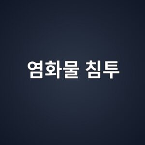 염화물 침투에 따른 철근부식과 내구성 저하 8 ec97bced9994ebacbc ecb9a8ed88ac 1787059302